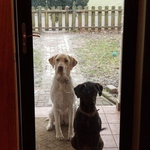 Meet your Posher, Sandi